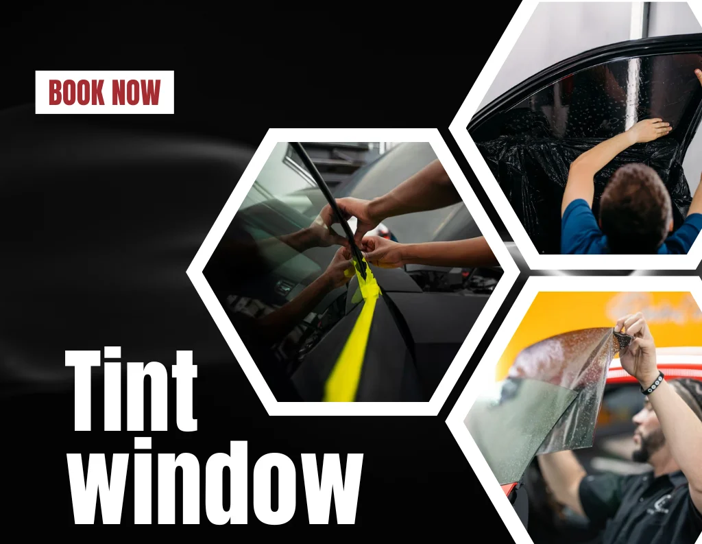 Longmont window tints